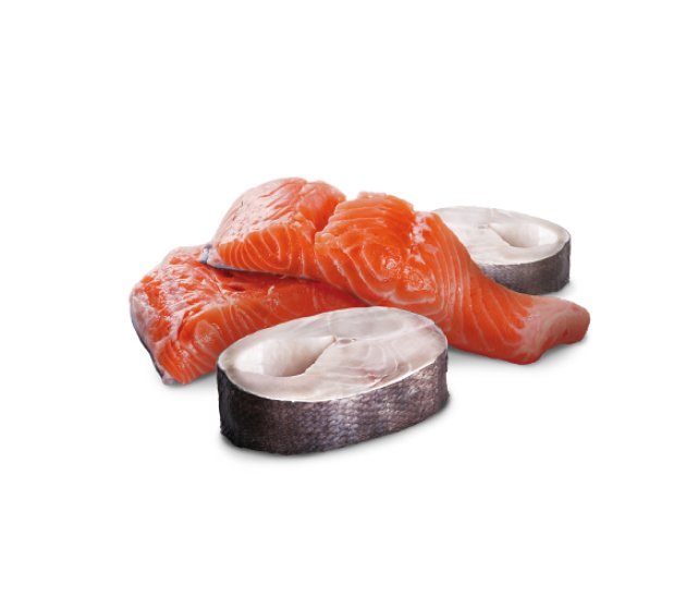 salmon-500g